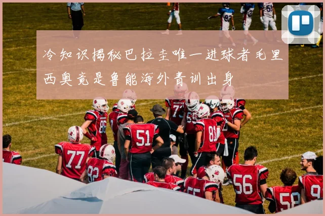 冷知识揭秘巴拉圭唯一进球者毛里西奥竟是鲁能海外青训出身