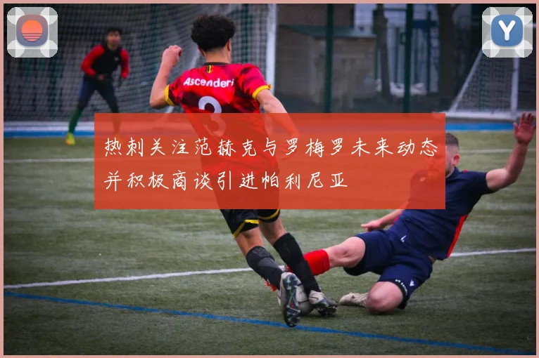 热刺关注范赫克与罗梅罗未来动态并积极商谈引进帕利尼亚
