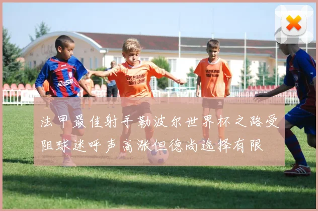 法甲最佳射手勒波尔世界杯之路受阻球迷呼声高涨但德尚选择有限