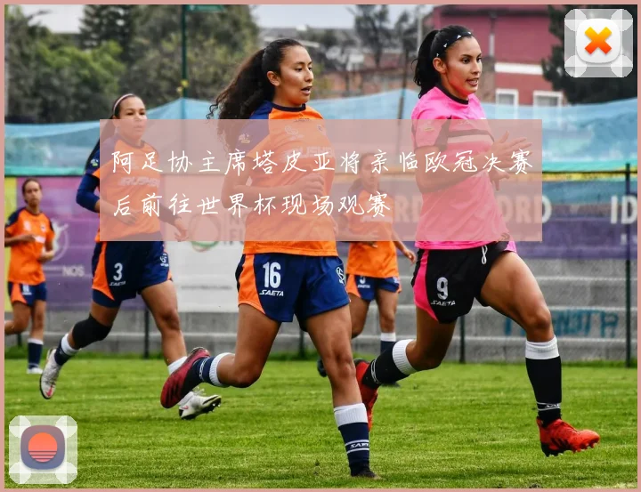 阿足协主席塔皮亚将亲临欧冠决赛后前往世界杯现场观赛